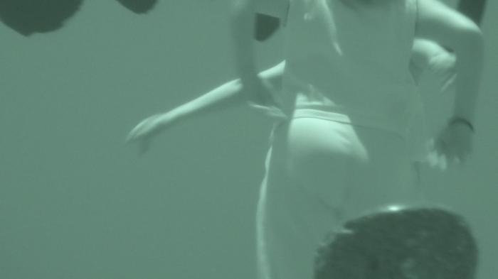 CAM-15 きゃめる15 魅惑の世界へようこそ! 演者の艶かしい透けの競演です!