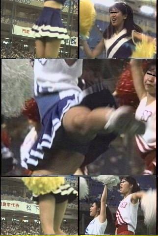1442「蒐集撮り・チアーでいこう(7)」