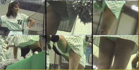 1441「蒐集撮り・チアーでいこう(6)」