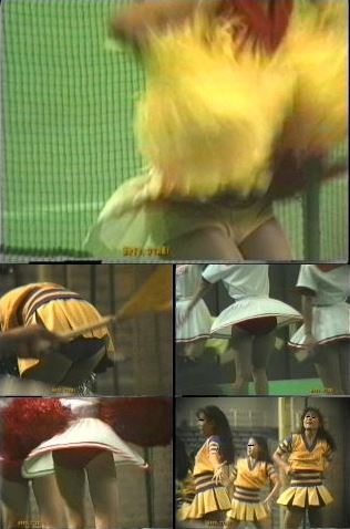 3384/「蒐集撮り・チアーでいこう(52)」